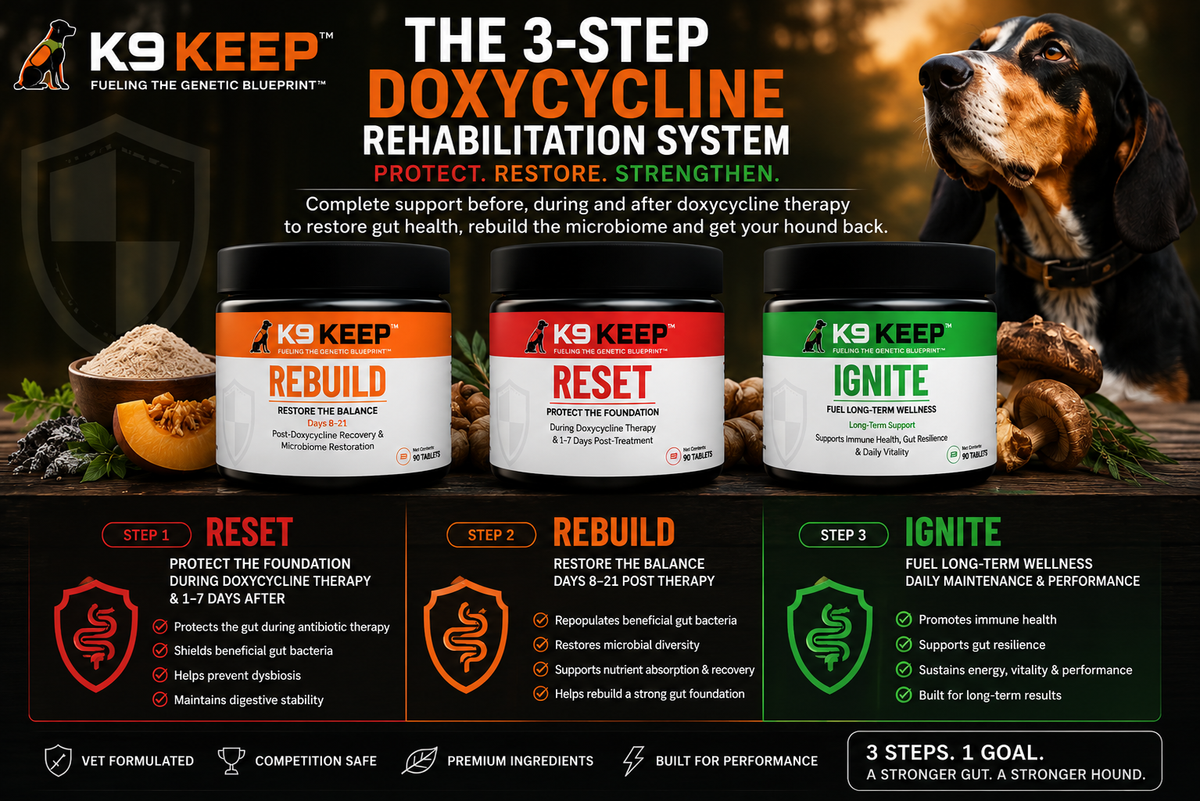 3 Step Gut Rehabilitation System