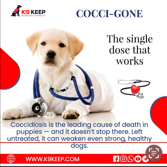Cocci Gone