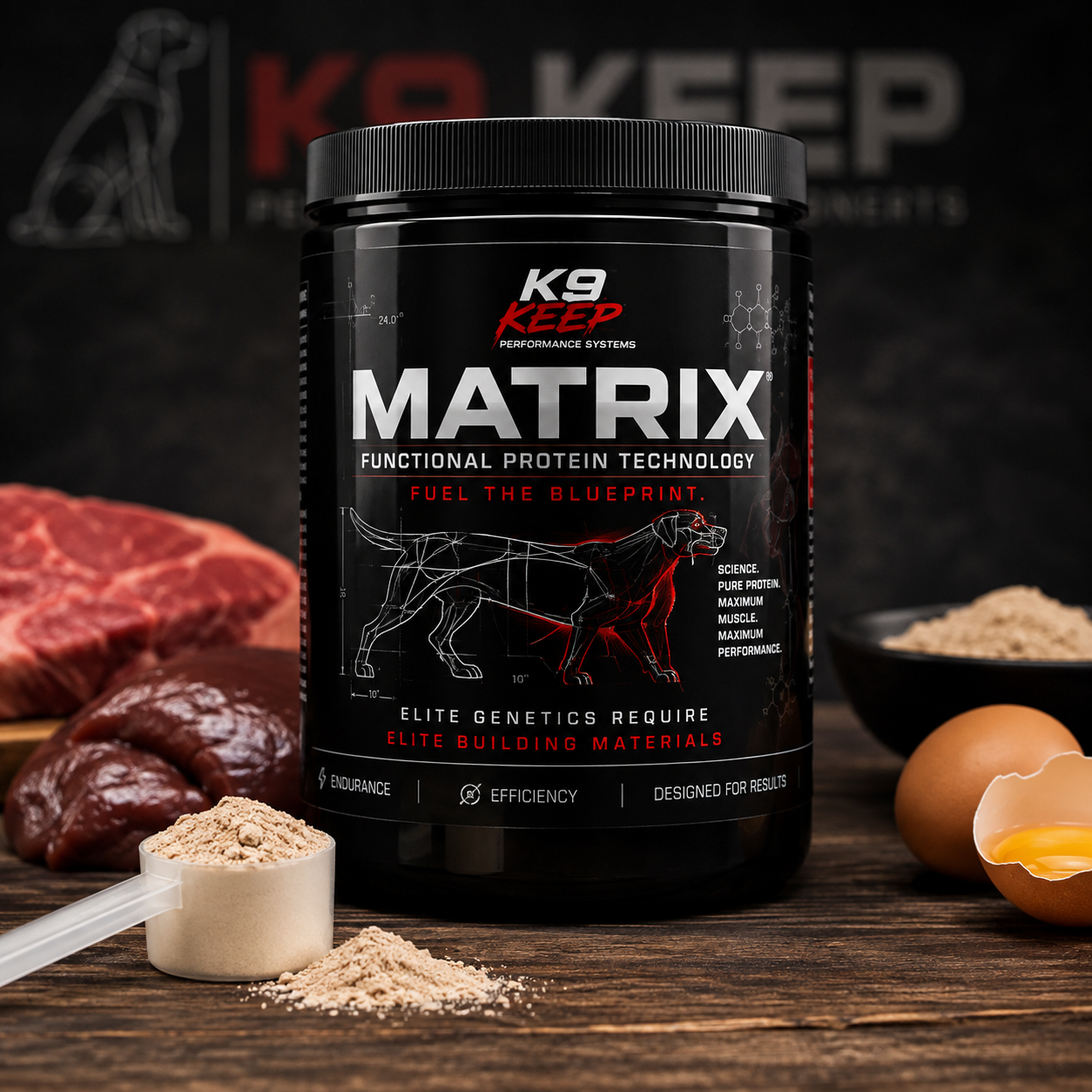 MATRIX PROTEIN