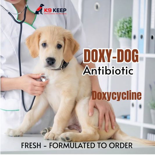 DOXY -DOG