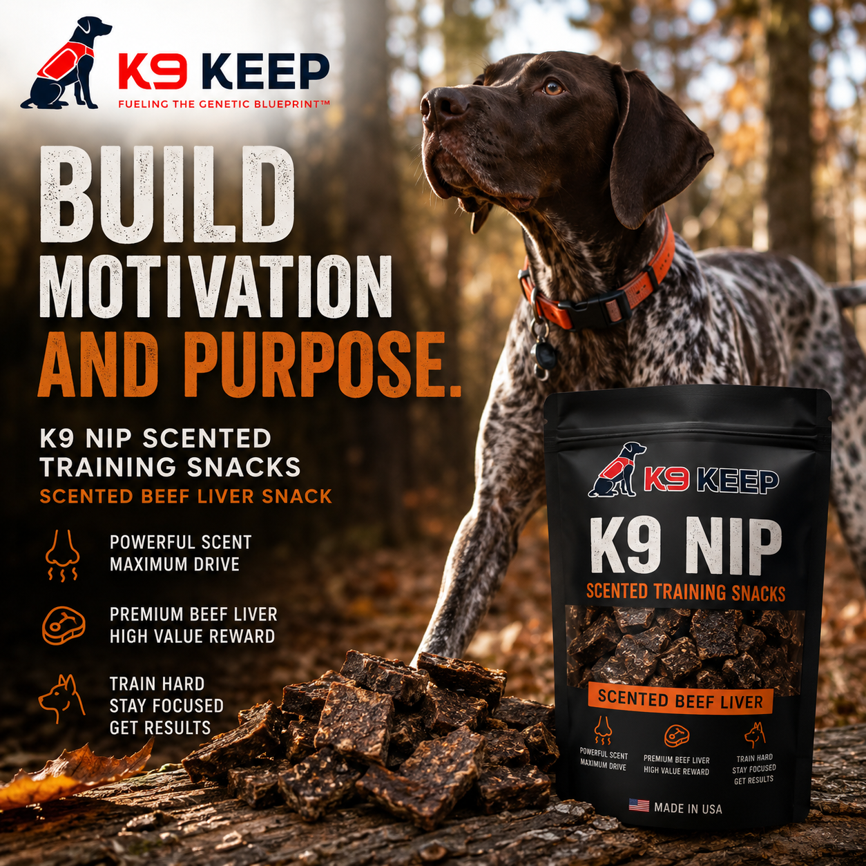 K9 NIP SCENT FOCUS TREAT 16 oz